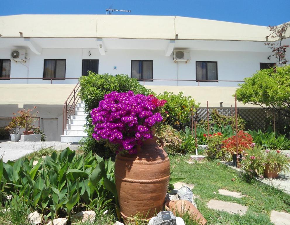 Evi Apartments And Studios Theológos Habitación foto