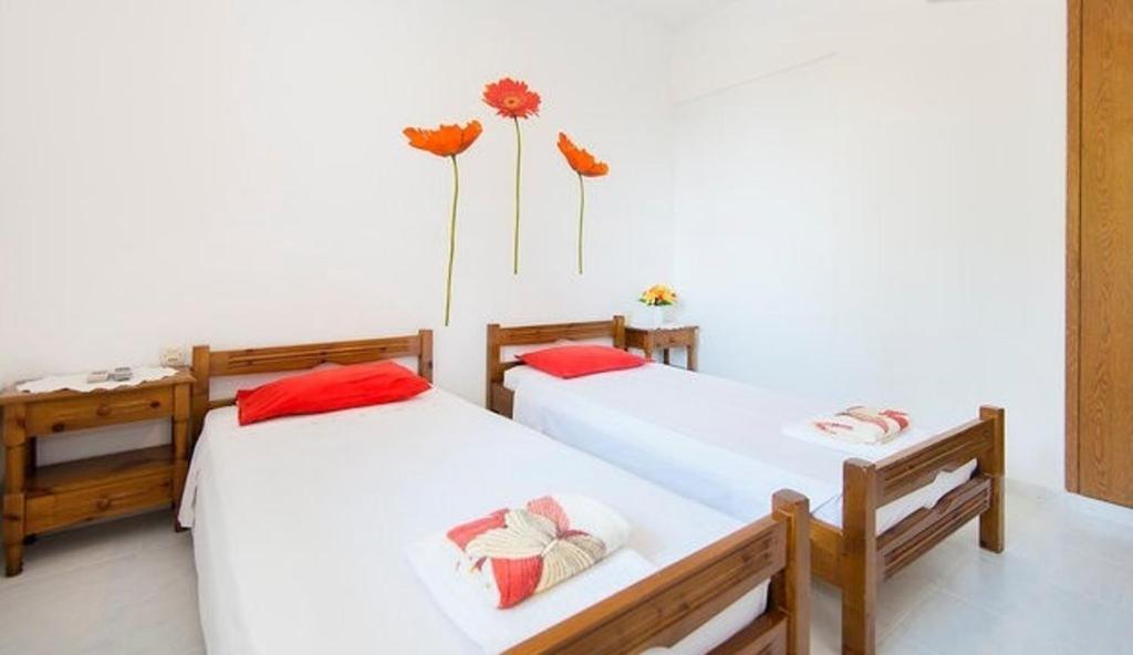 Evi Apartments And Studios Theológos Habitación foto