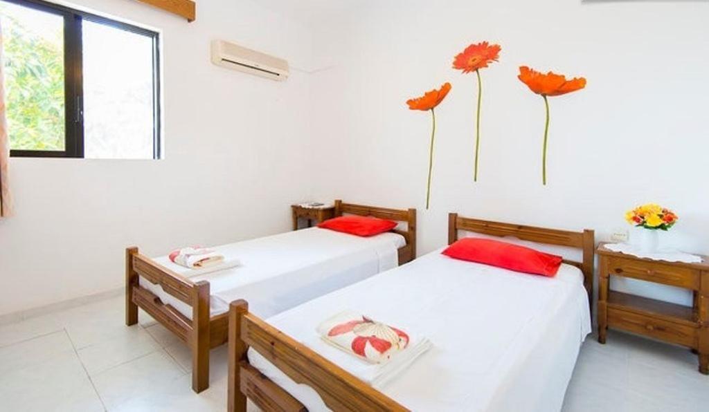 Evi Apartments And Studios Theológos Habitación foto